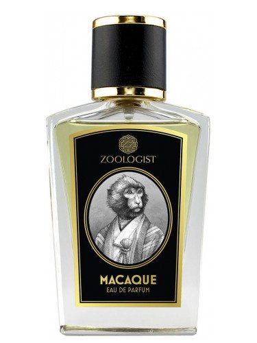 Zoologist Macaque