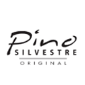 Pino Silvestre