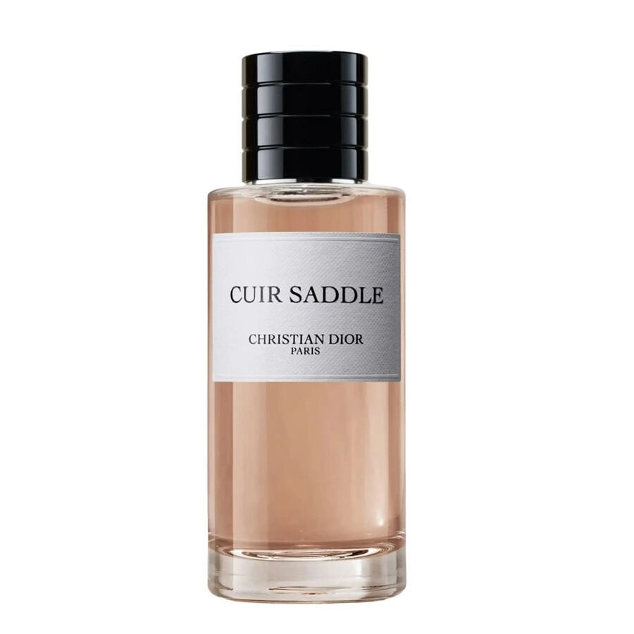 Dior Privee Cuir Saddle