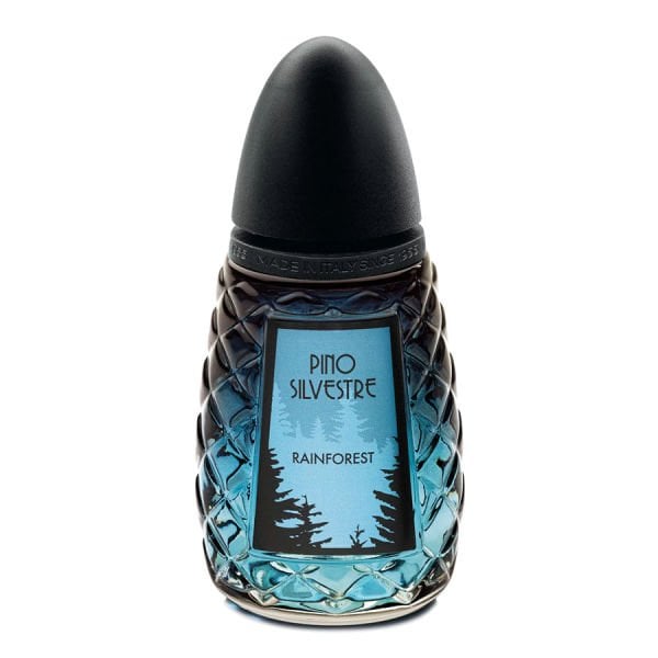 Pino Silvestre Rainforest