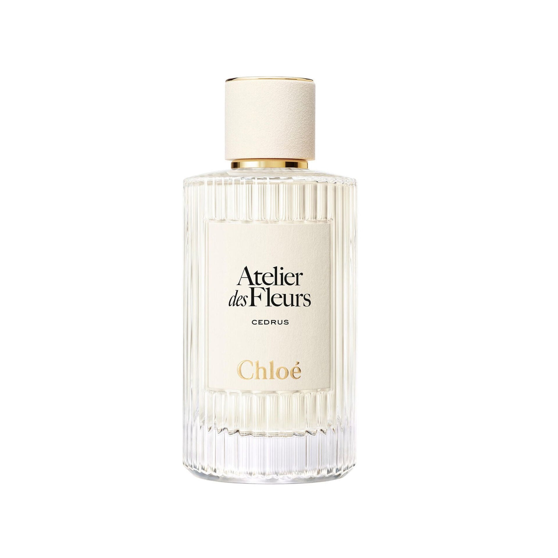 Chloé Atelier des Cedrus EDP