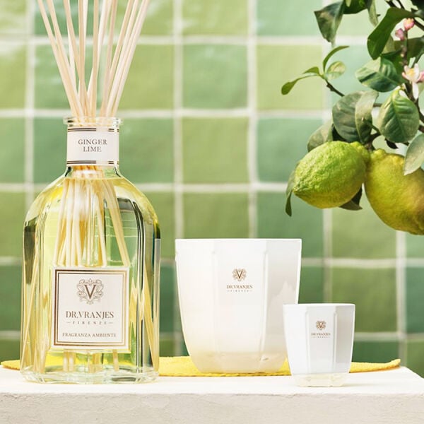 Dr. Vranjes Firenze Fragranza Ambiente  Home Fragrance Spray / Ginger Lime