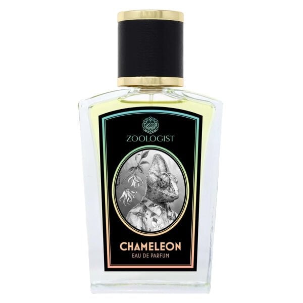 Zoologist Chameleon