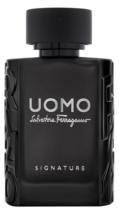 Salvatore Ferragamo Uomo Signature EDP