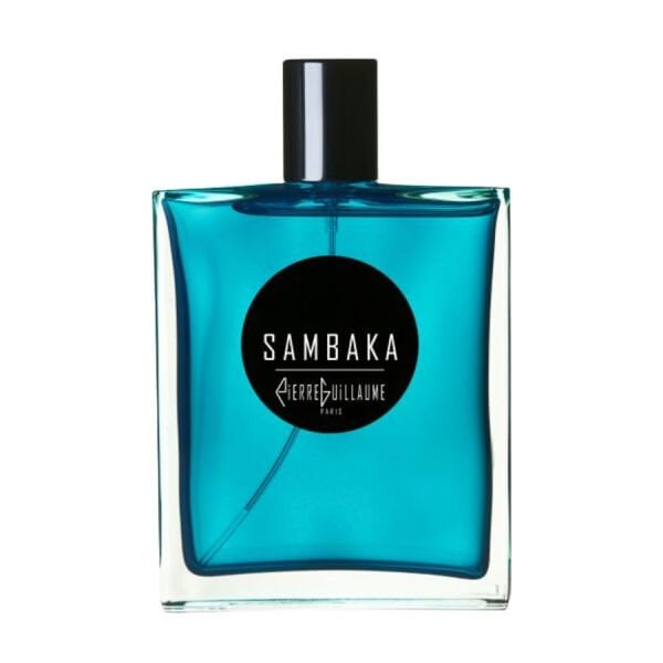 Pierre Guillaume Sambaka EDP